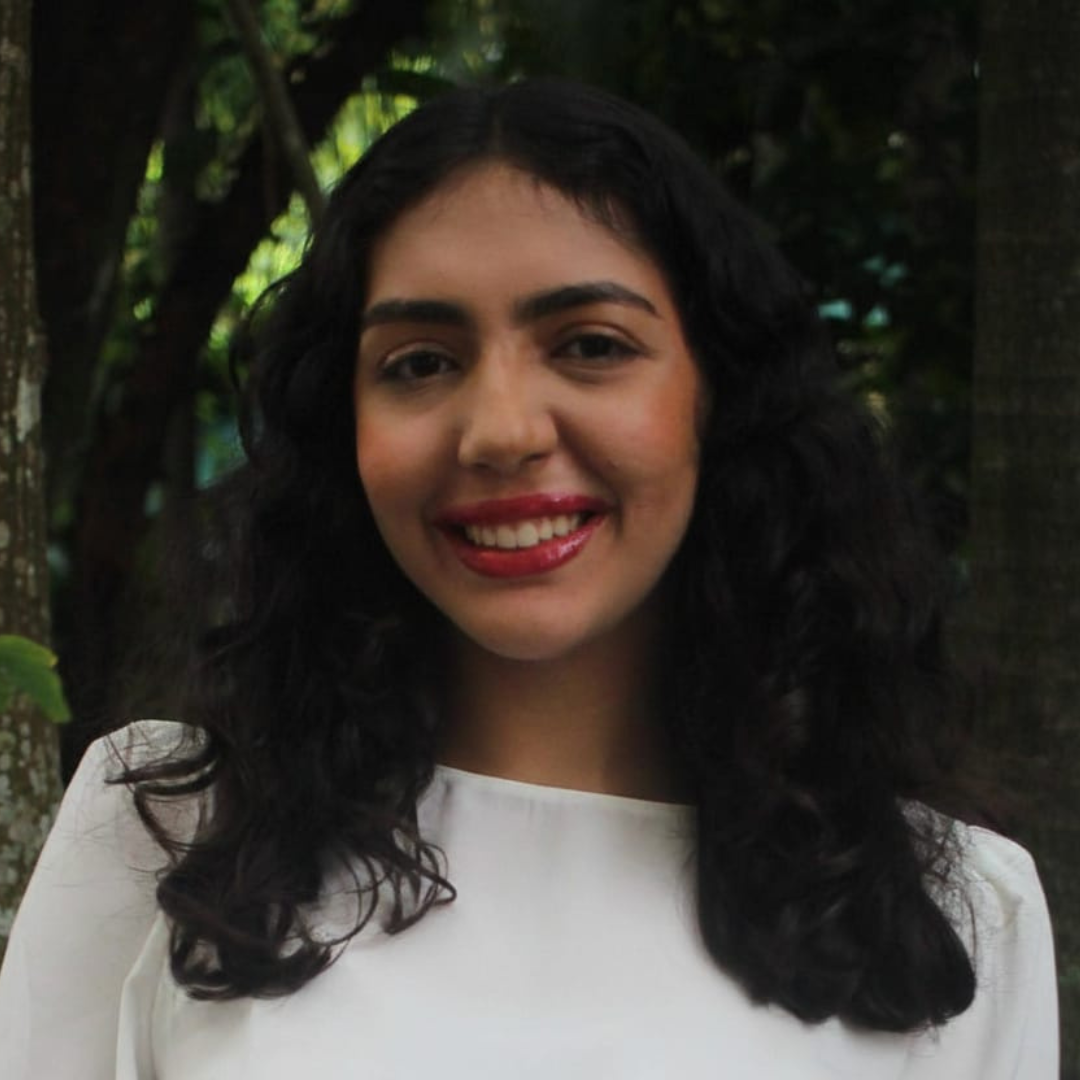 Alícia Delfino Santos Guimarães